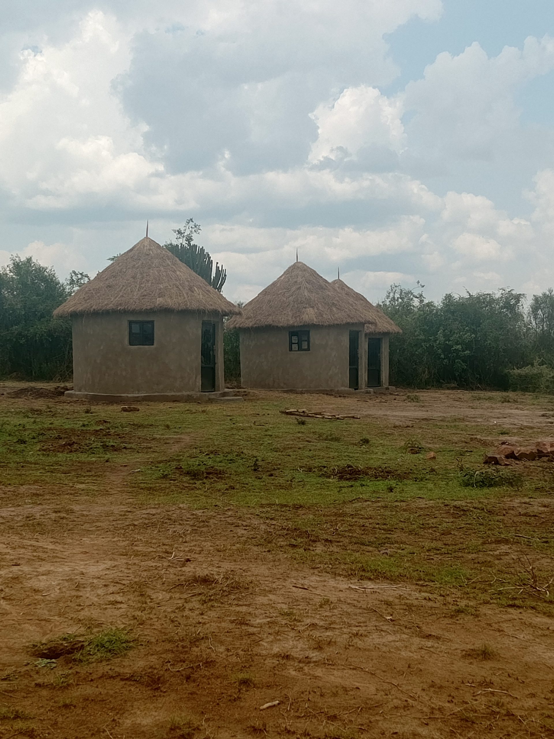Traditional house